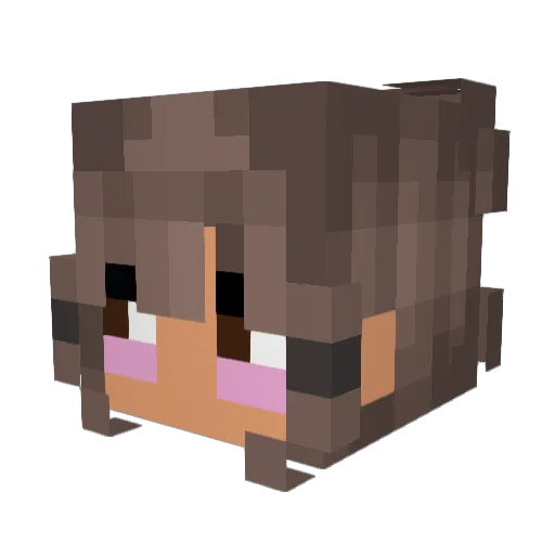 Anora14 Minecraft avatar head, 3D render