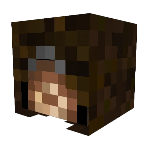 Anorthunis Minecraft avatar head, 3D render