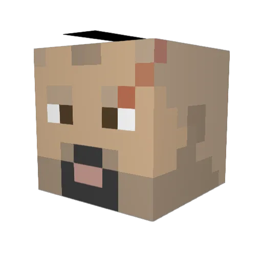Anoryen Minecraft avatar head, 3D render