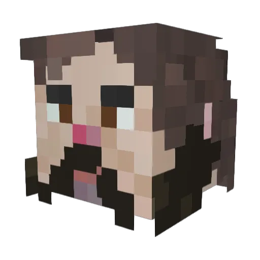 Another28 Minecraft avatar head, 3D render