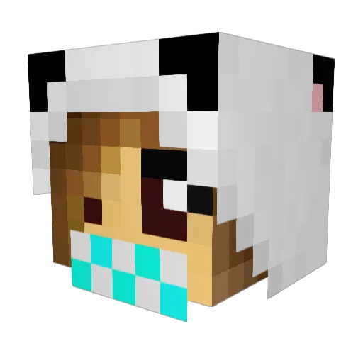 AnotherAvocado Minecraft avatar head, 3D render