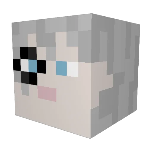 AnotherCia Minecraft avatar head, 3D render