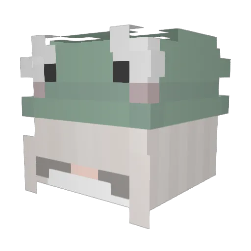 AnotherComb5301 Minecraft avatar head, 3D render