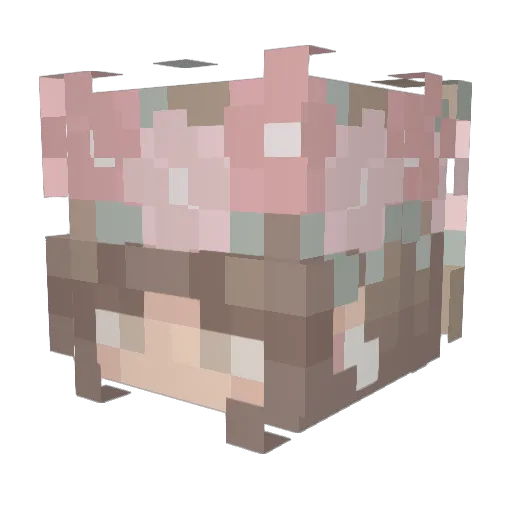AnotherEm Minecraft avatar head, 3D render