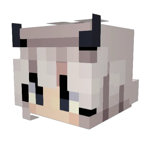 AnotherJinx Minecraft avatar head, 3D render