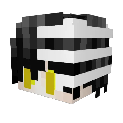 AnotherOne661 Minecraft avatar head, 3D render