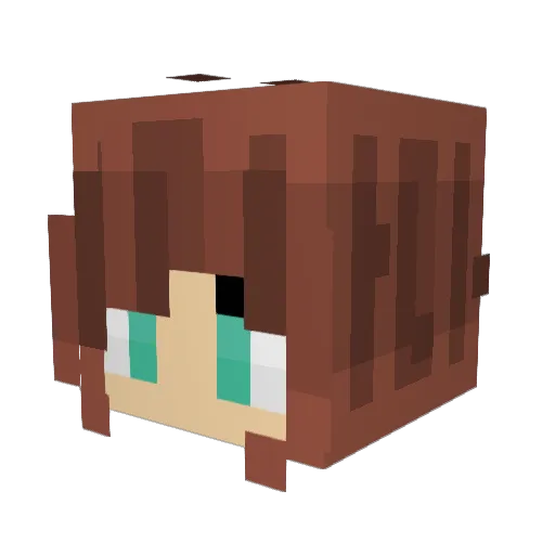 AnotherQ Minecraft avatar head, 3D render
