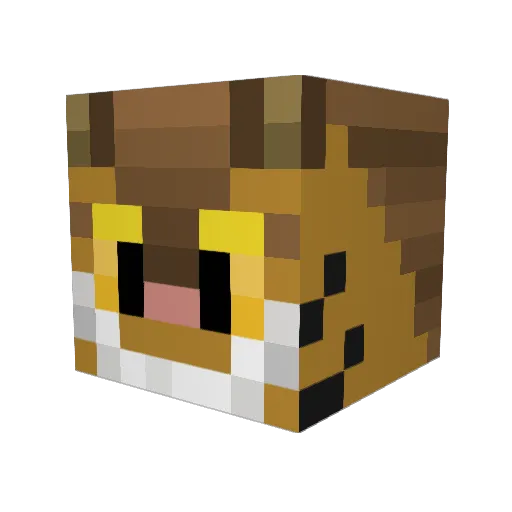AnotherSphynx Minecraft avatar head, 3D render
