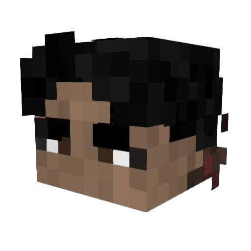 AnotherYaros Minecraft avatar head, 3D render
