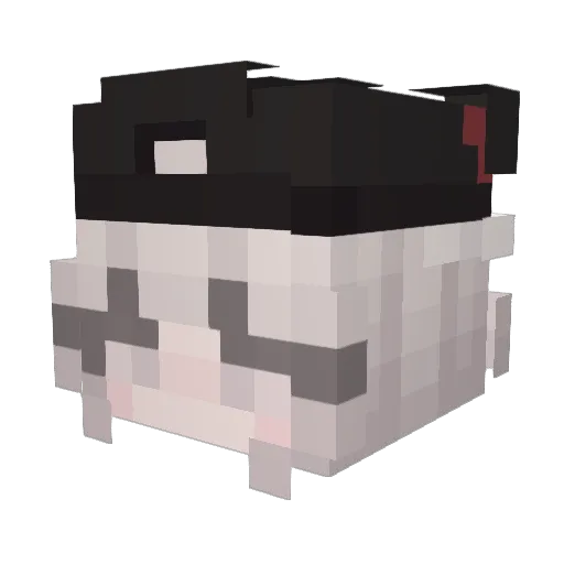 Another_Life Minecraft avatar head, 3D render