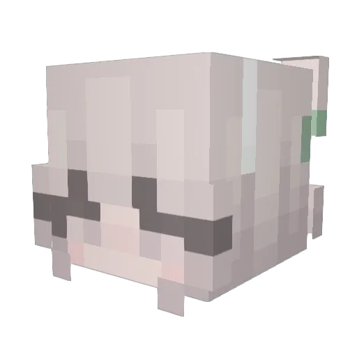 Another_Pen Minecraft avatar head, 3D render