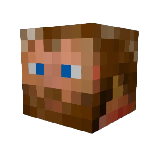 AnothrBagOfPlums Minecraft avatar head, 3D render