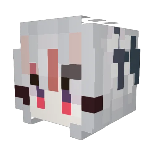 Anothy Minecraft avatar head, 3D render