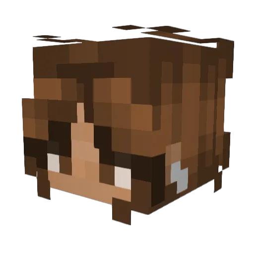 Anoukln34 Minecraft avatar head, 3D render