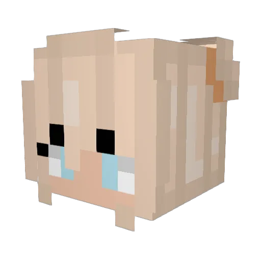 Anouksje Minecraft avatar head, 3D render
