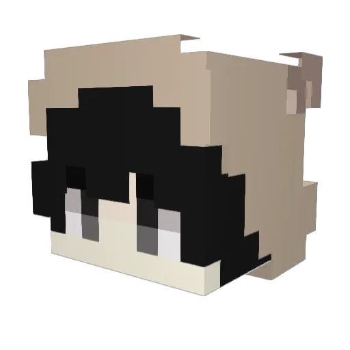 Anourch Minecraft avatar head, 3D render