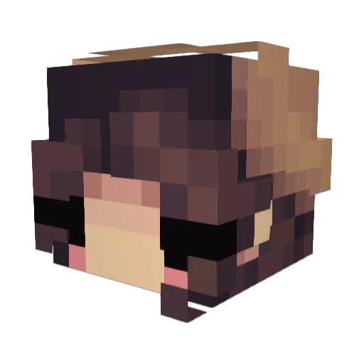 Anovii Minecraft avatar head, 3D render