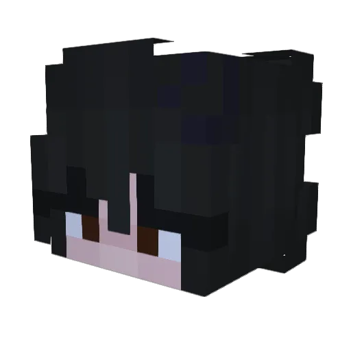 Anq_ Minecraft avatar head, 3D render