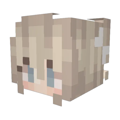 AnqaBee Minecraft avatar head, 3D render