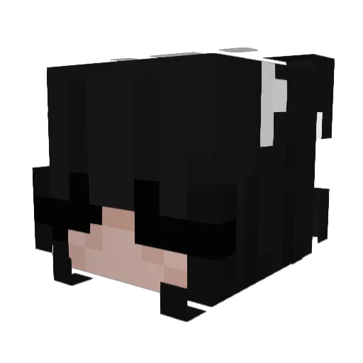 Anqelixa Minecraft avatar head, 3D render