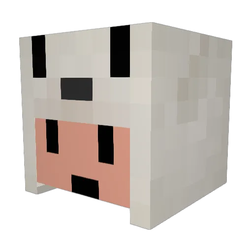 Anqxlpuppy Minecraft avatar head, 3D render