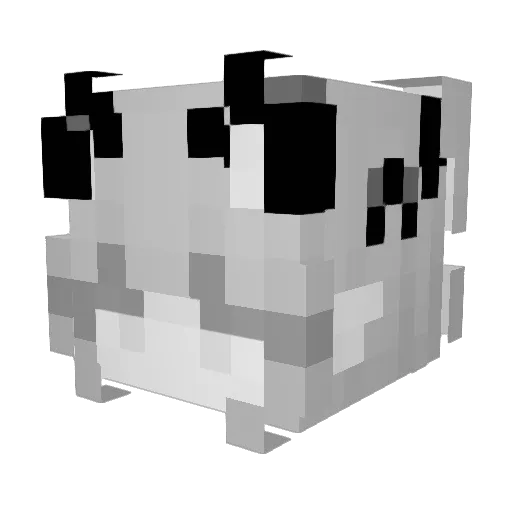 Anranran520 Minecraft avatar head, 3D render