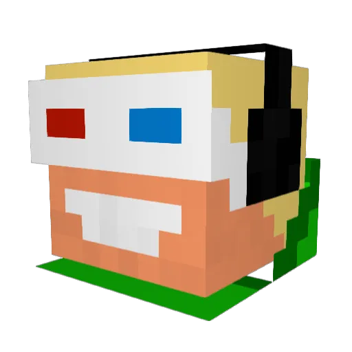 Anranruth Minecraft avatar head, 3D render