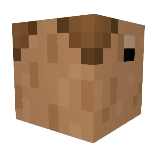 Anress4 Minecraft avatar head, 3D render