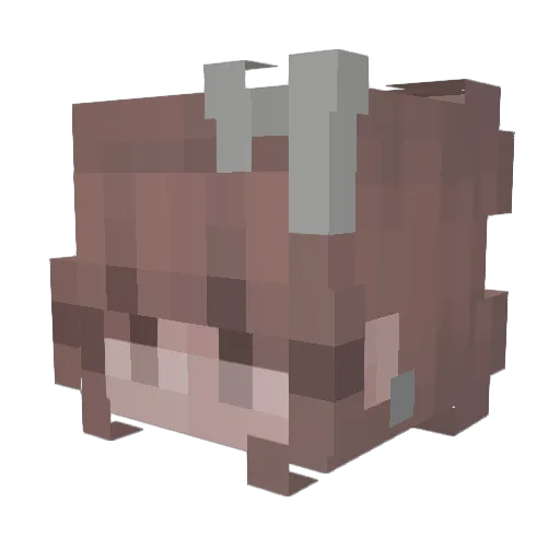 Anseben Minecraft avatar head, 3D render