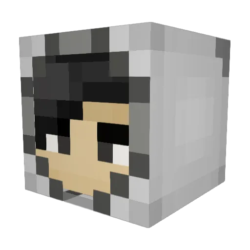 AnselmJ Minecraft avatar head, 3D render
