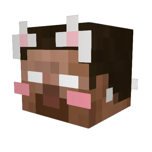 Anseowo Minecraft avatar head, 3D render