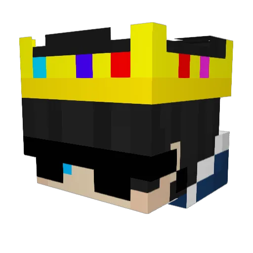AnshExe_ Minecraft avatar head, 3D render