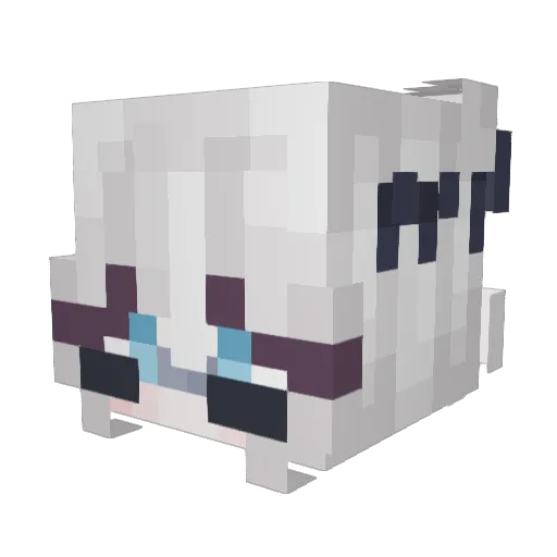 Anshz Minecraft avatar head, 3D render