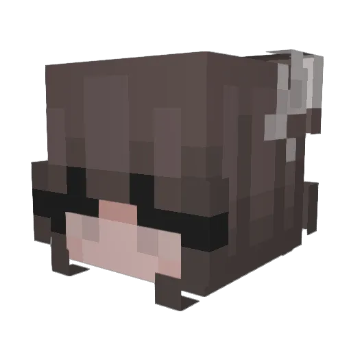 Ansqn Minecraft avatar head, 3D render