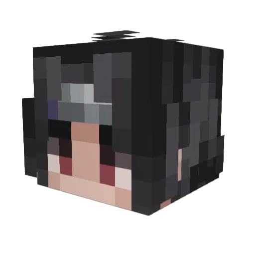 Anstre_Is_DTeir Minecraft avatar head, 3D render