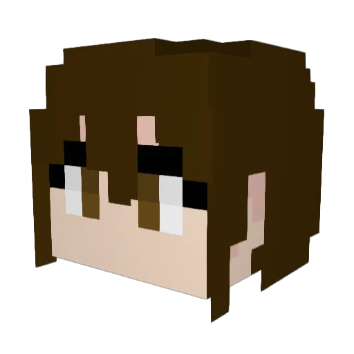 Ant1917 Minecraft avatar head, 3D render