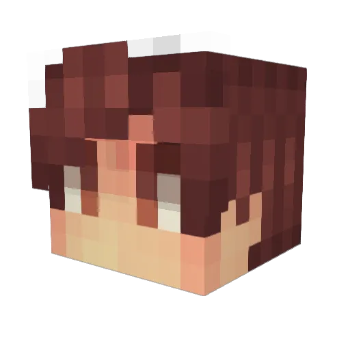 Ant1k0 Minecraft avatar head, 3D render