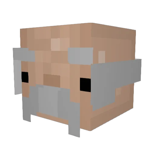 AntLovesJesus Minecraft avatar head, 3D render