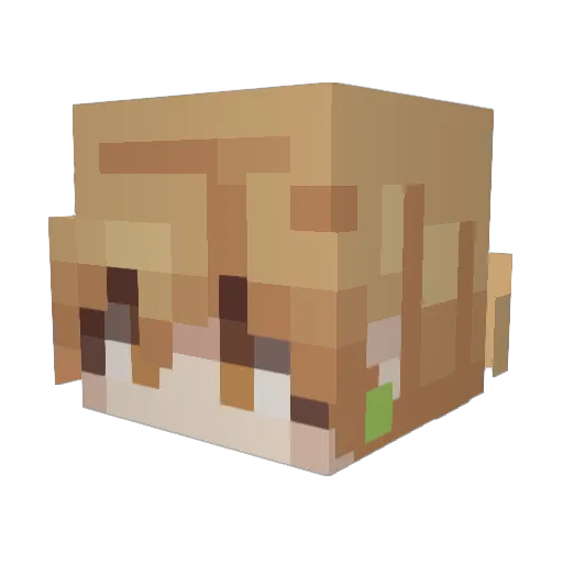 Ant_Jay Minecraft avatar head, 3D render