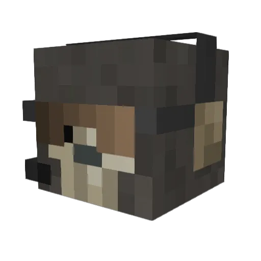 AntarcticFiber0 Minecraft avatar head, 3D render