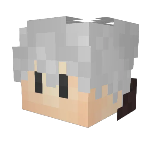 AntarcticWiFi Minecraft avatar head, 3D render