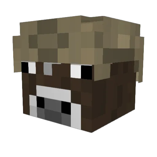 Antarcticacat Minecraft avatar head, 3D render