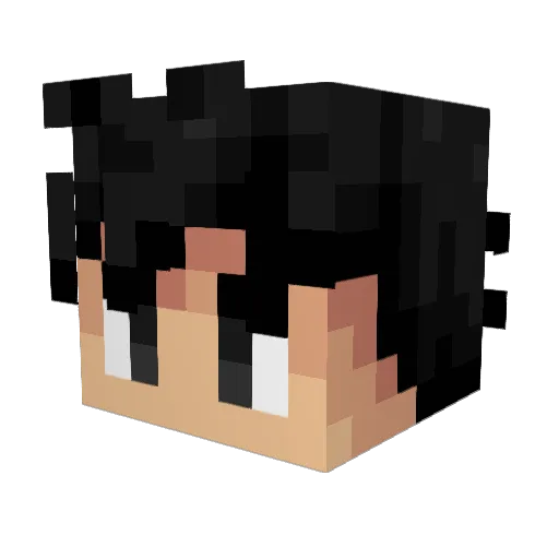 Antares551 Minecraft avatar head, 3D render