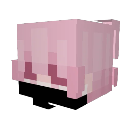 AntaresPingaloca Minecraft avatar head, 3D render