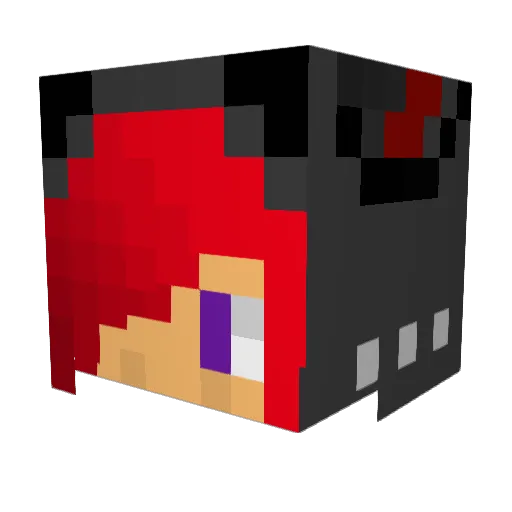 Anteater49 Minecraft avatar head, 3D render