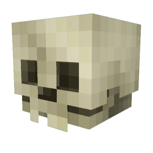 Anteater_9 Minecraft avatar head, 3D render