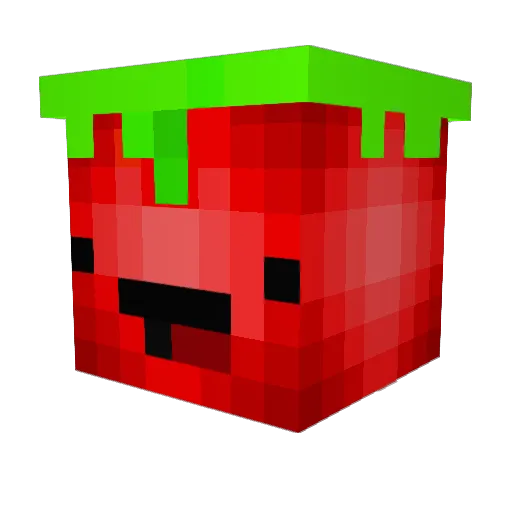 Antek2025 Minecraft avatar head, 3D render