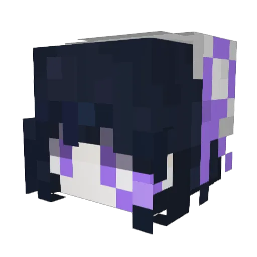 Anter_0 Minecraft avatar head, 3D render