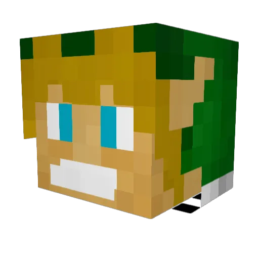 Anterater Minecraft avatar head, 3D render