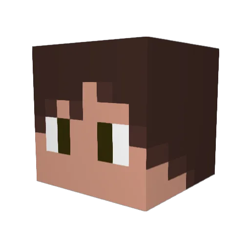 Anterois0 Minecraft avatar head, 3D render